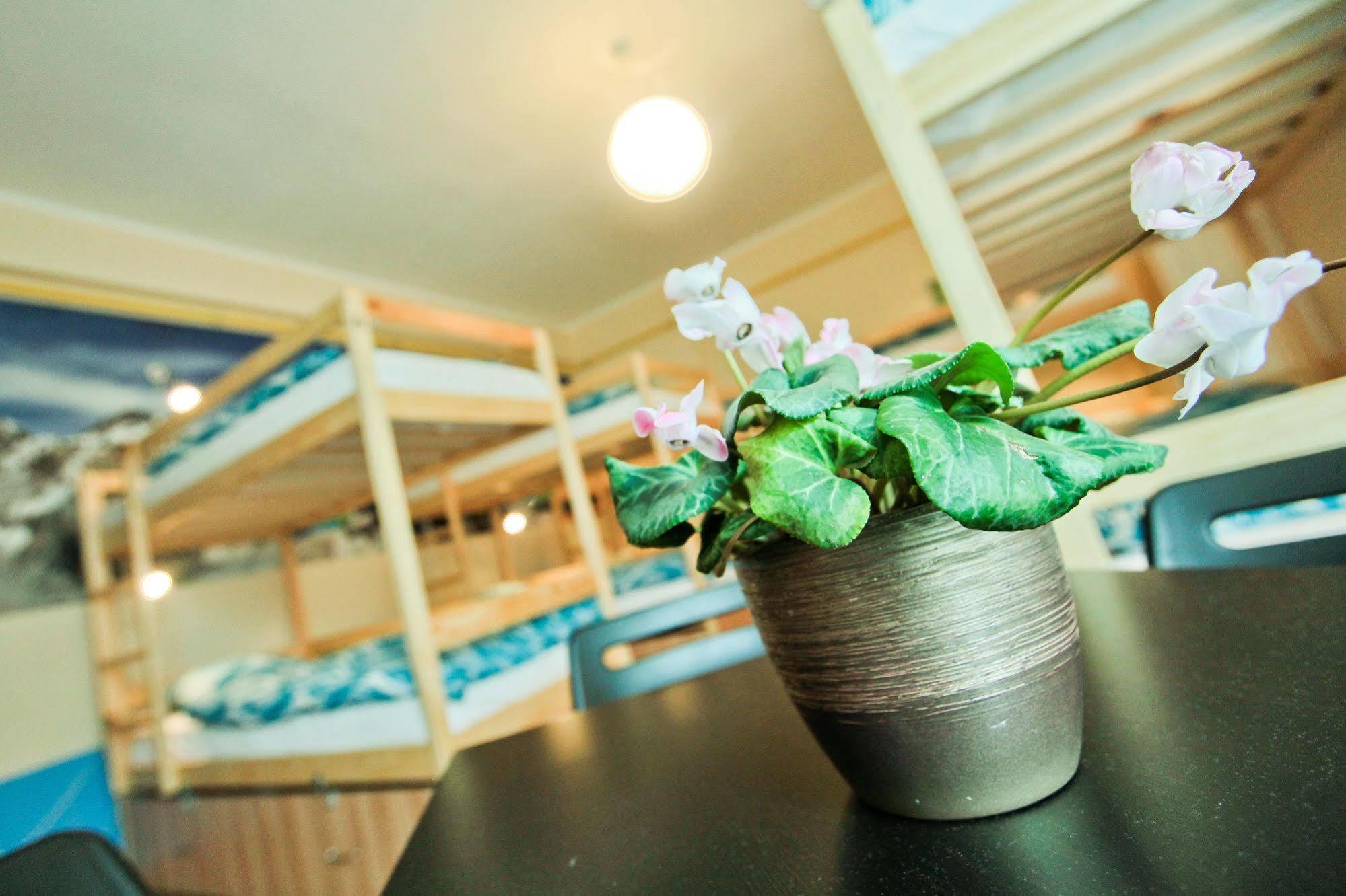 Poco Loco Hostel 포즈난 외부 사진
